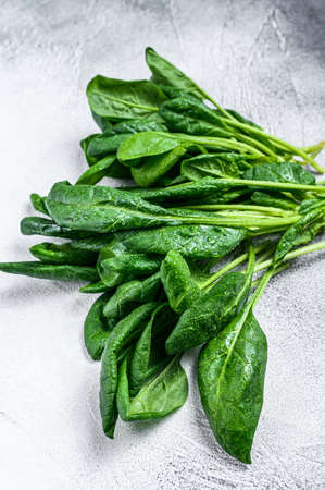 Raw fresh spinach leaves on a stone table. White background. Top viewの写真素材