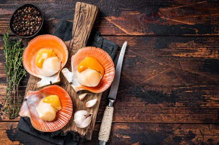 Fresh raw Scallops in shells on a rustic wooden board with thyme. Dark wooden background. Top view....