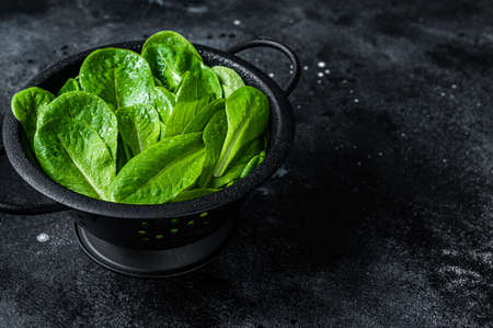Raw leaves of romaine lettuce in colander. Black background. Top view. Copy spaceの写真素材