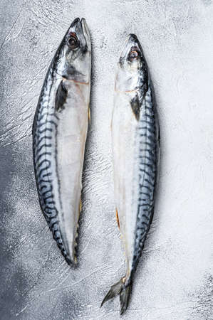 Raw fish Mackerel on a kitchen table. White background. Top viewの写真素材
