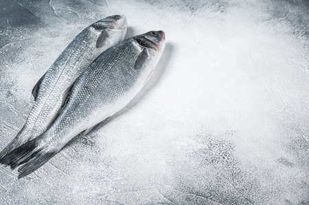 Fresh raw seabass fish on kitchen table. White background. Top view. Copy space