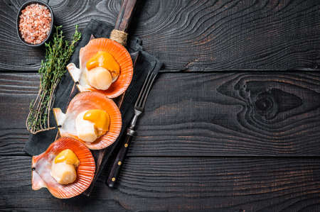 Scallops raw Shellfish on a wooden board with herbs. Black wooden background. Top view. Copy space