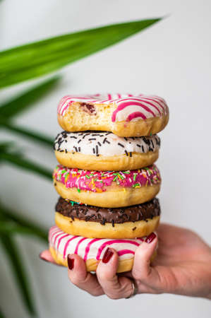 Female holds in hand colorful stack of glazed donuts. White background. Top view. Copy spaceの写真素材