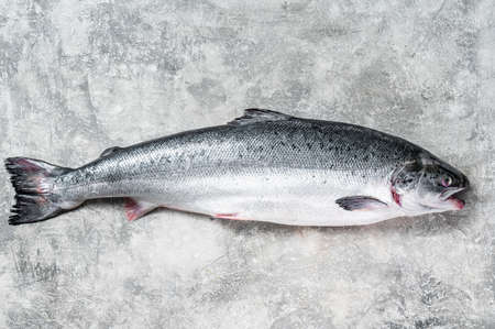 Fresh raw salmon red whole fish on kitchen table. Gray background. Top viewの写真素材