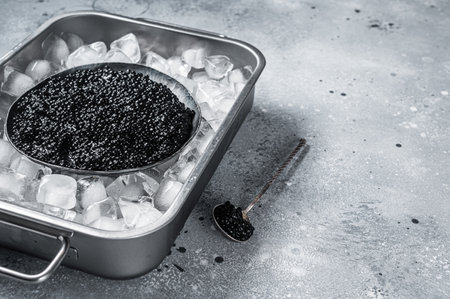 Beluga Black caviar in glass jar on ice. Gray background. Top view. Copy spaceの写真素材