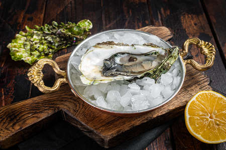 Appetizing raw oyster with ice cubes in a skillet . Wooden background. Top viewの写真素材