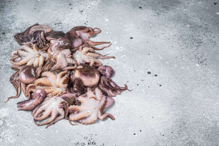 Bunch of raw young baby octopus on kitchen table. gray background. top view. copyspace.