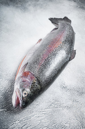 Raw trout silverfish on a kitchen table. gray background. top view.の写真素材