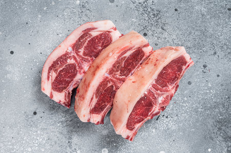Raw fresh meat lamb mutton saddle. gray background. top view.