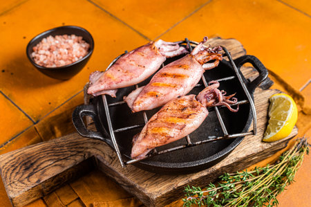 Grilled squid, calamary on a hot flaming. orange background. top view.の写真素材