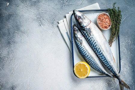 Raw mackerel scomber fish with ingredients for cooking in baking dish. White background. Top view. Copy spaceの写真素材
