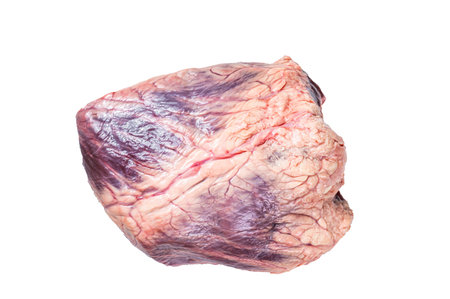 Beef or veal raw heart on a butcher table. isolated on white background.