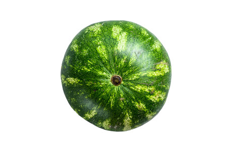 Whole ripe green watermelon. isolated on white backgroundの写真素材