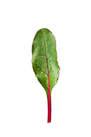 Chard on a black plate, minimalism, concept. isolated on white background.の写真素材