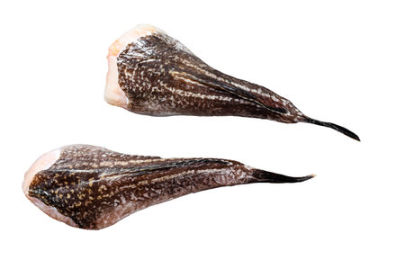 Fresh monkfish without a head. isolated on white background