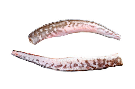 Raw king clip, congrio fish. isolated on white background