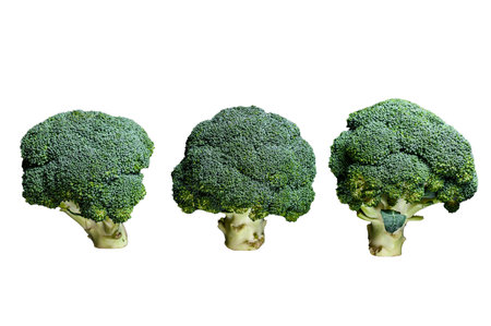 Raw green broccoli Isolated on white backgroundの写真素材