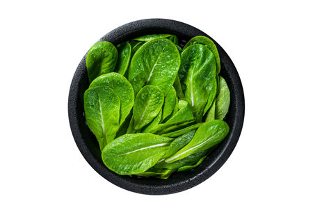 Raw leaves of romaine lettuce in colander. Isolated, white background. Top viewの写真素材