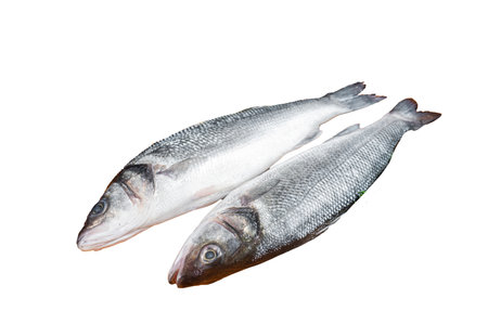 Raw Sea Bass fish with lime and herbs. Isolated, white background.の写真素材