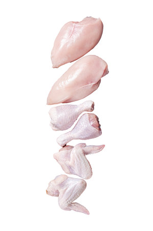 Chicken meat assortment. Raw parts - drumstick, breast fillet, wings, thigh. Isolated, white backgroundの写真素材