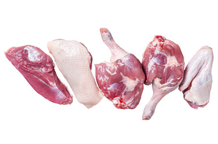 Raw duck meat ready to cook, breast fillet, legs, wings. Isolated, white backgroundの写真素材