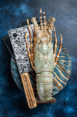 Spiny lobster on a wooden cutting board, raw seafood. Blue background. Top view.の写真素材