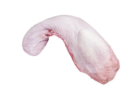 Uncooked Raw beef or veal tongue on butcher board with meat cleaver. Isolated on white backgroundの写真素材