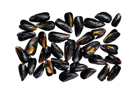 Seafood fresh blue mussels in kitchen steel tray. Isolated on white backgroundの写真素材