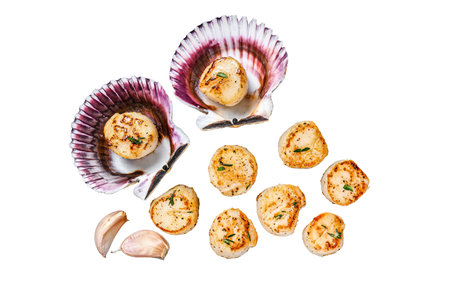 Fried seafood scallops meat with butter in a shells. Isolated on white background, top viewの写真素材