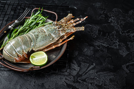 Cooking Spiny lobster or sea crayfish with herbs and spices. Black background. Top view. Copy space.の写真素材