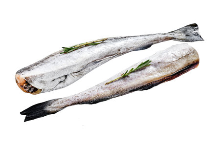 Raw Pollock fish with rosemary and pink pepper. Organic seafood. Isolated on white background. Top...
