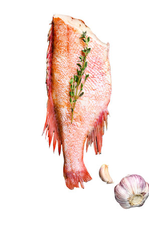 Raw red sea perch on white background. Top view
