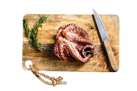 Grilled whole octopus on a cutting Board. Isolated on white background. Top viewの写真素材