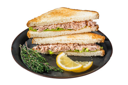 Tuna Salad Sandwich with lettuce and herbs. Isolated on white backgroundの写真素材