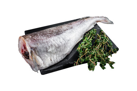 Uncooked Raw cod whole fish on marble board with thyme. Isolated on white background.