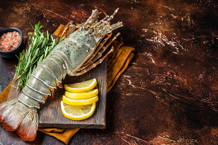 Fresh Spiny lobster on a wooden cutting board with herbs for cooking, raw seafood. Dark background. Top view. Copy space.の写真素材