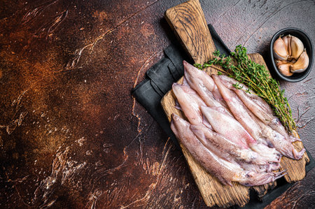 Fresh squid on cutting board, raw Seafood. Dark background. Top view. Copy space