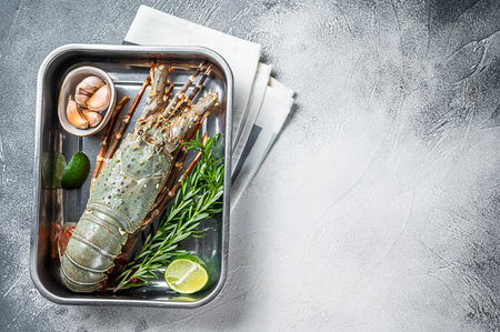 Fresh Raw Spiny lobster or sea crayfish ready for cooking. White background. Top view. Copy space.の写真素材