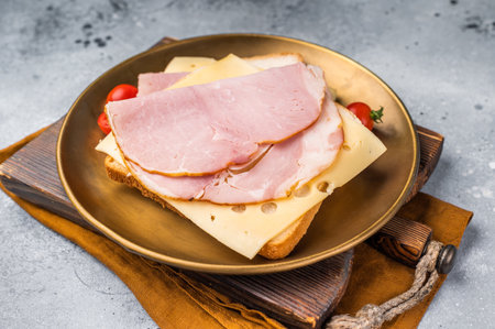 Ham and cheese sandwich, toast with sliced Prosciutto. gray background. top view.