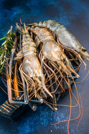 Uncooked rosenbergii fresh water shrimp ready for preparation, perfect for chefs looking to create exquisite seafood dishes. blue background. top view.の写真素材