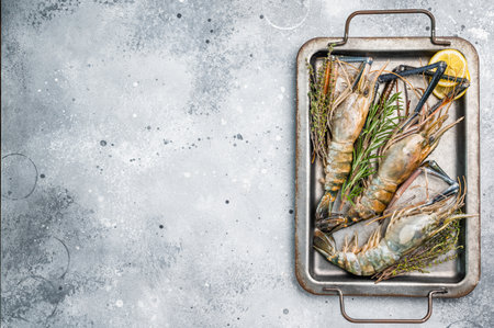 Freshly caught raw rosenbergii prawn displayed elegantly, highlighting their natural beauty and premium quality. grey background. top viewの写真素材