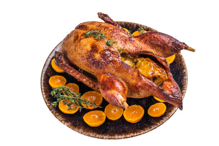 Roast goose with apples and oranges on plate with herbs isolated on white background. top view.の写真素材