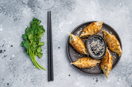 Fried Chinese Dumplings Jiaozi with meat and vegetables on plate with sauce. grey background. top view.の写真素材