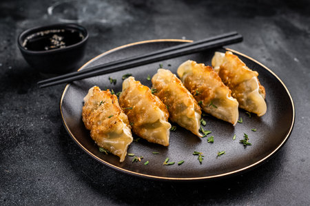 Fried Japanese Gyoza Dumplings with meat and vegetables on plate. black background. top view.