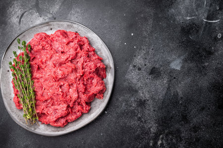 Raw ground wild game meat rabbit hare on a textured grey plate with fresh thyme, set on a dark,...