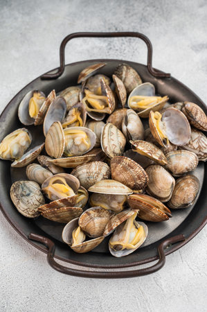 Steamed vongole mollusks in round pan on gray surface. Mediterranean shellfish composition with minimal style.の写真素材