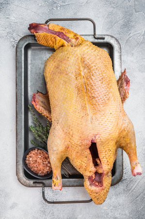 Raw Muscovy duck carcass, game poultry meat prepared for cooking on tray with salt and herbs light background overhead food ingredient concept.の写真素材