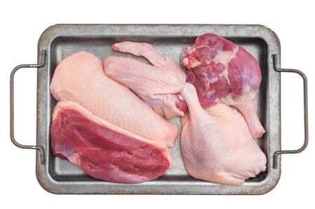 Uncooked raw duck meat assortment including breast wing and thigh isolated on bright surface perfect for culinary preparation photographyの写真素材