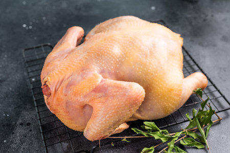 A whole raw chicken sits on a black wire rack, surrounded by fresh herbs on a black background.の写真素材