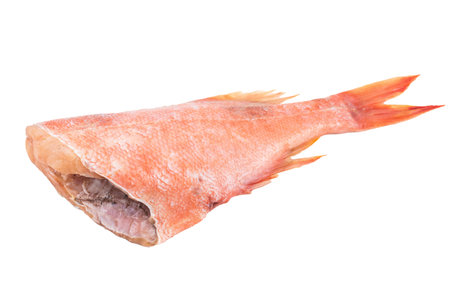 Whole raw redfish isolated on white background. Fresh marine seafood ingredient ready for cooking